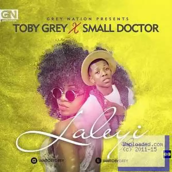 Toby Grey - Laleyi Remix ft Small Doctor